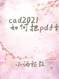 cad2021如何把pdf转成cad格式
