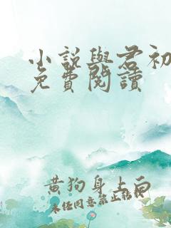 小说与君初相识免费阅读