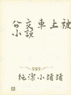 公交车上被插入小说