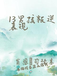 13男孩叛逆期表现