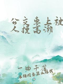 公交车上被陌生人摸高潮