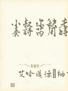 小叔你缺老婆不秦诗芮周时安小说