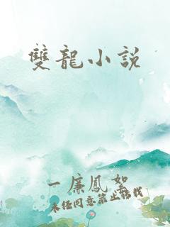 双龙小说