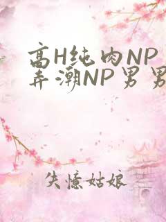 高H纯肉NP 弄潮NP男男