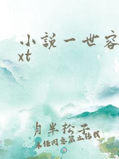 小说一世容安txt
