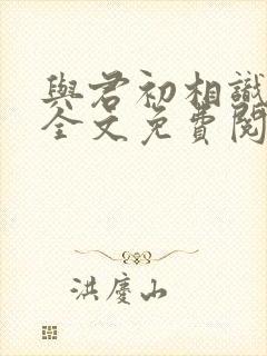 与君初相识小说全文免费阅读