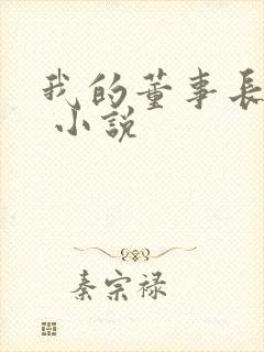 我的董事长老婆 小说