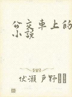 公交车上的爱情小说