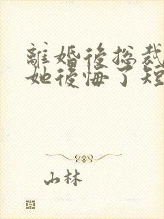 离婚后总裁老婆她后悔了短剧免费观看