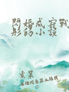 闪婚成宠战胤海彤的小说