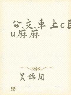公交车上c巨ru麻麻