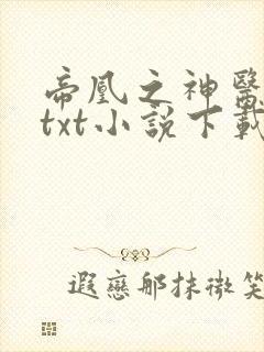帝凰之神医弃妃txt小说下载