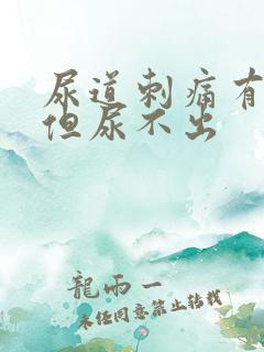 尿道刺痛有尿意但尿不出