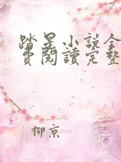 踏星小说全文免费阅读完整版无弹窗