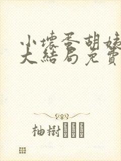 小坏蛋胡姨小说大结局免费阅读