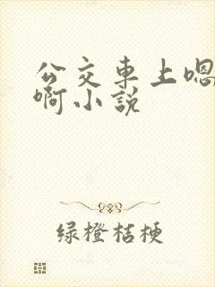 公交车上嗯啊嗯啊小说