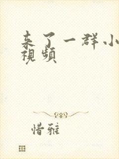 来了一群小鸭子视频