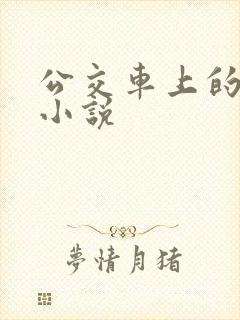 公交车上的情欲小说