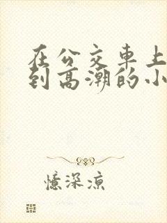 在公交车上被摸到高潮的小说文章