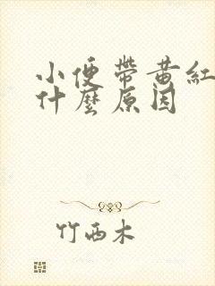 小便带黄红色是什么原因