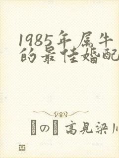 1985年属牛的最佳婚配属相