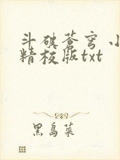 斗破苍穹 小说精校版txt