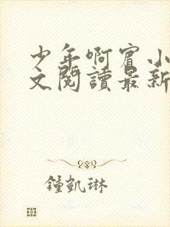 少年啊宾小说全文阅读最新章节txt