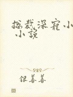 总裁深宠小甜妻 小说