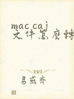 mac caj文件怎么转换成pdf