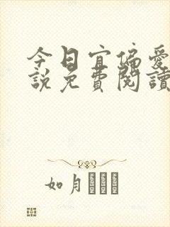 今日宜偏爱 小说免费阅读