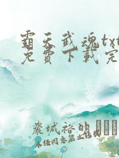 霸天武魂txt免费下载完本