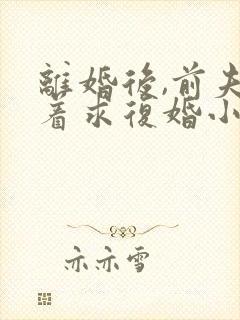 离婚后,前夫哭着求复婚小说全文在线阅读