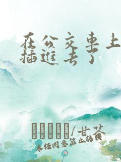 在公交车上被人插进去了