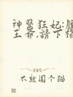 神医狂妃:腹黑王爷,请下榻 小说