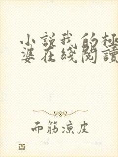 小说我的极品老婆在线阅读