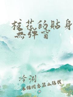 校花的贴身高手 无弹窗