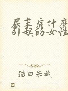 尿末痛什么原因引起的女性