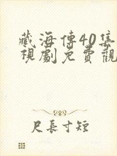 藏海传40集电视剧免费观看