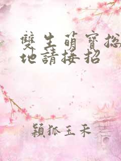 双生萌宝总裁爹地请接招