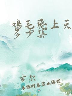 鸡毛飞上天一共多少集