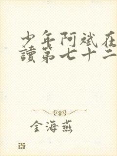 少年阿斌在线阅读第七十二