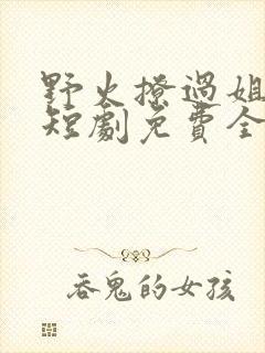 野火撩过姐姐心短剧免费全集在线观看