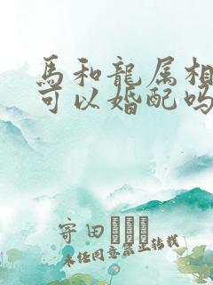 马和龙属相是否可以婚配吗