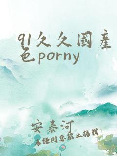 91久久国产九色porny