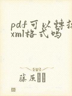 pdf可以转换xml格式吗