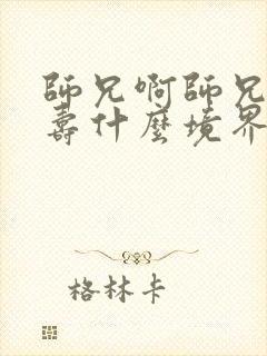 师兄啊师兄李长寿什么境界