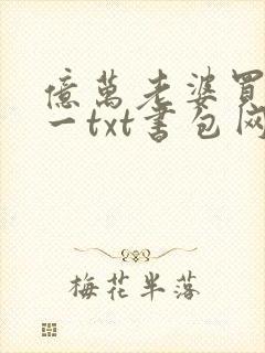 亿万老婆买一送一txt书包网