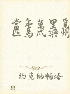 当年万里觅封侯匹马戍梁州是什么意思