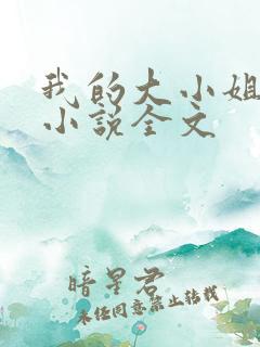 我的大小姐老婆小说全文