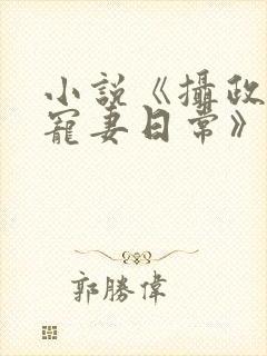 小说《摄政王的宠妻日常》